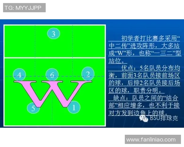 武汉羽毛球队整体压制打法深度解析与战术优势剖析